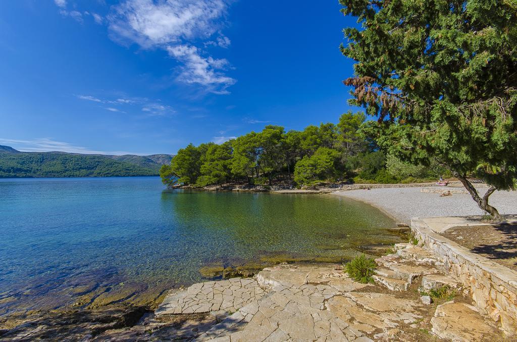 House Oliva With Private Pool And Large Garden Villa Stari Grad  Eksteriør bilde
